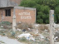 /album/observacion-de-la-practica-/p-jpg1/